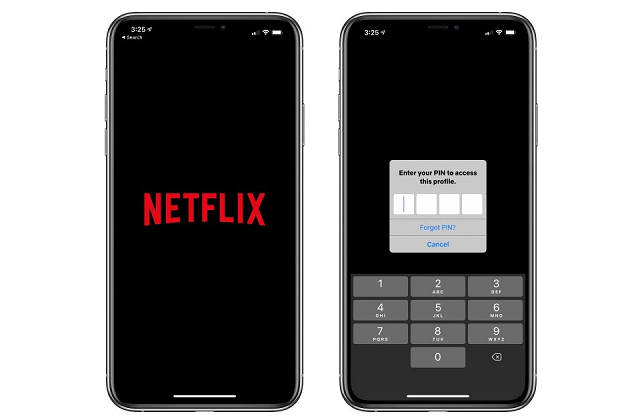 Netflix PIN