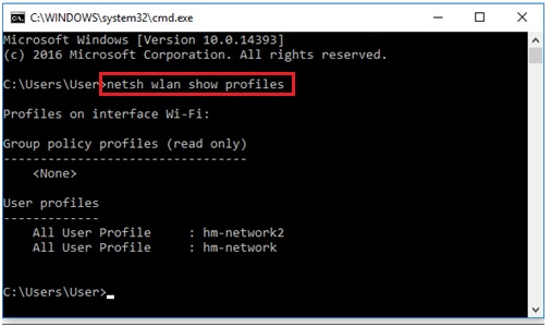 netsh wlan show profiles in windows 10 1